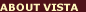 About Vista